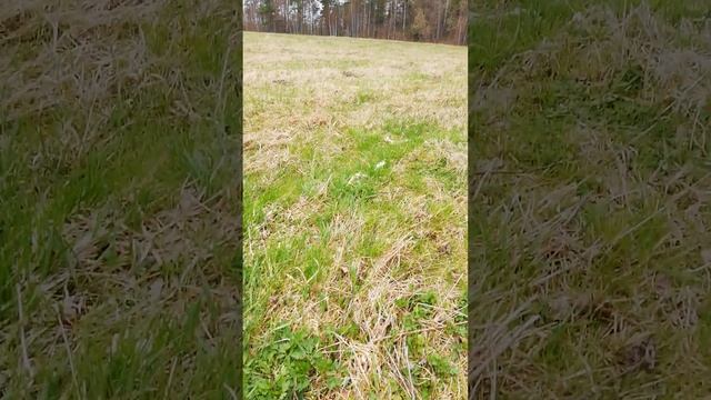 18 апреля 2023 г. смотреть онлайн