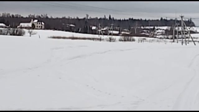 Новые гости у нас Нашли собакевича и вернули хозяивам. смотреть онлайн