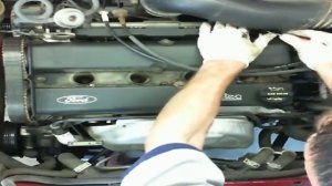 ? CT-A1150 Замена ремня ГРМ Ford Zetec 2.0л (Форд) | Специнструмент для FORD/Форд