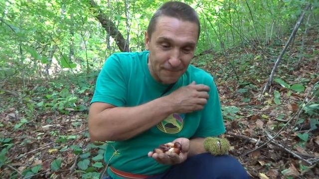 Каштаны смотреть онлайн