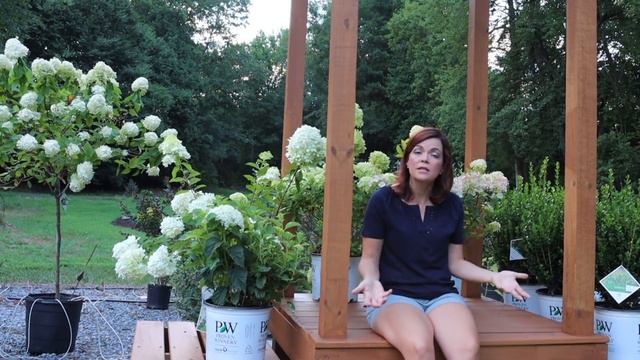 Common Garden Pests  // Gardening With Creekside