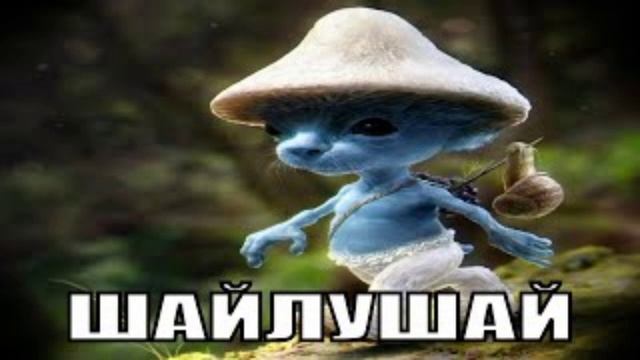 Шайлушай песня смотреть онлайн