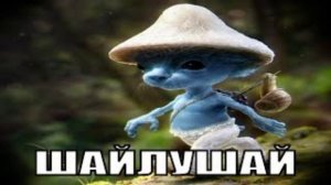 Шайлушай песня