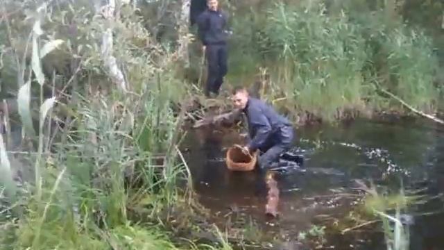 Антон - Грибник смотреть онлайн