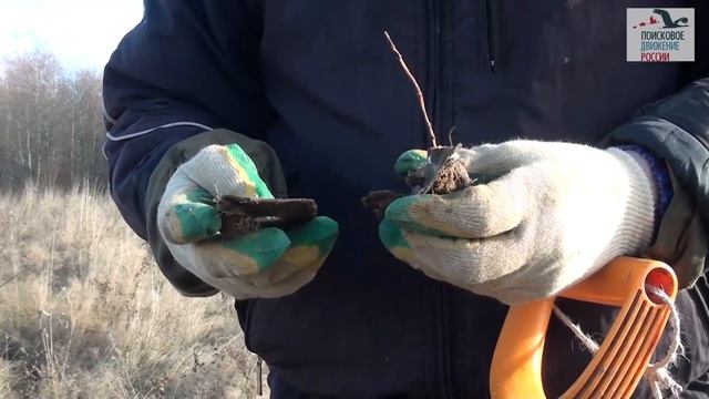 У деревни Залазино в Лихославльском районе обнаружено место падения самолёта Пе-2 смотреть онлайн