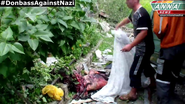 ЛНР. Станица-Луганская. Авиаудар. смотреть онлайн