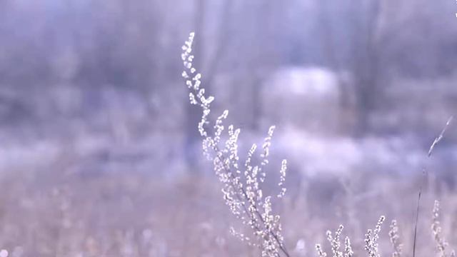 Природа России смотреть онлайн