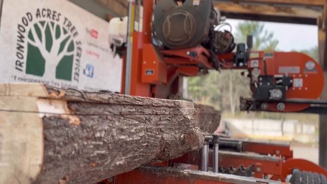 Facts About Soft Maple ? смотреть онлайн