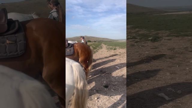 Белая Скала. Конная прогулка. Крым 2023 смотреть онлайн