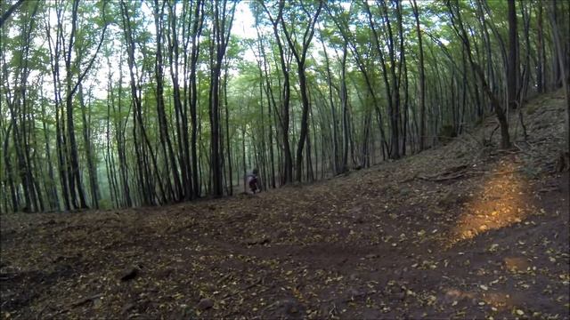 29 8 2018 HONDA XL250 climbing смотреть онлайн