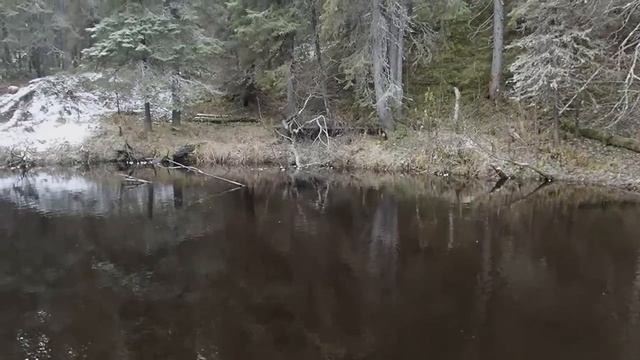 река Чидвия  осенний выход в тайгу