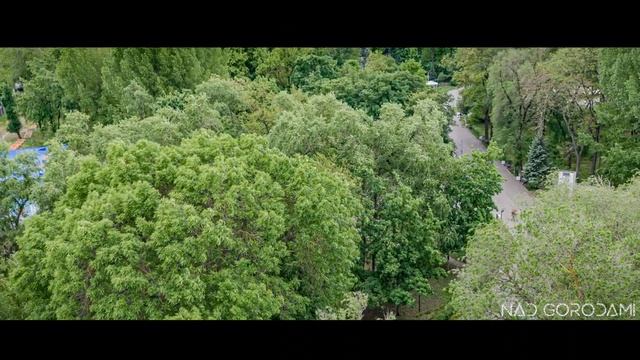 НАД РОСТОВОМ. О ГОРОДЕ, ПРОМЫШЛЕННОСТИ, БАНДИТАХ И МАНЬЯКАХ#торговый дом миллиардера андрея драгунов смотреть онлайн