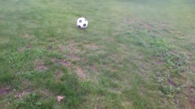 П.В.Ф. Начало начал! #1! смотреть онлайн