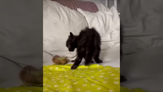 Когда разбудил дракона смотреть онлайн