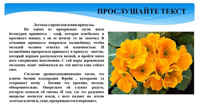 3 четверть, Русский язык, 5 класс, Страна цветов смотреть онлайн