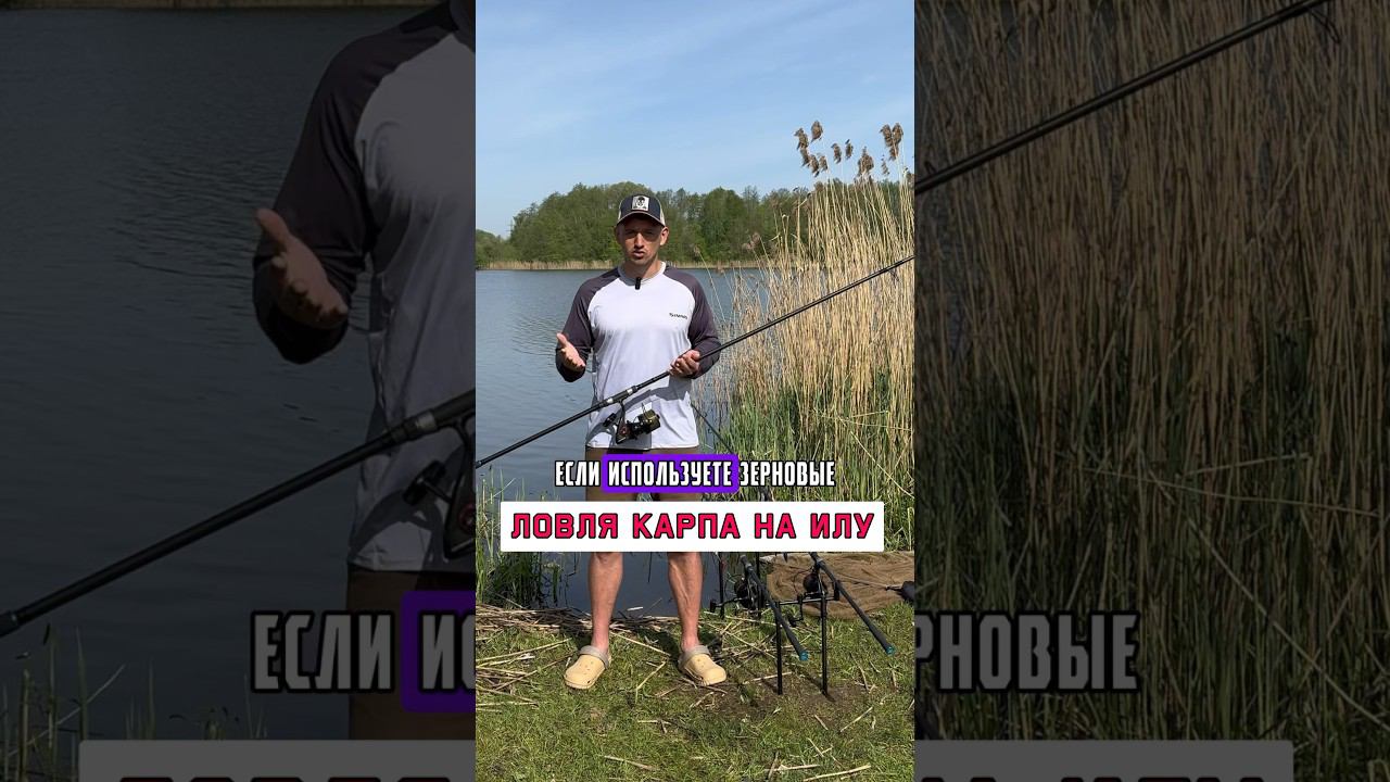 Какой корм использовать? #карпфишинг смотреть онлайн