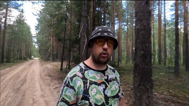 Очиток большой. История исследования лекарственных свойств растения. Сравнение с очитком пурпурным. смотреть онлайн