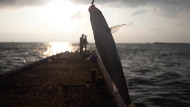 Ловля кефали в Сочи в декабре смотреть онлайн