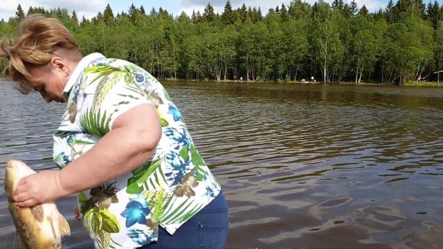 Трофейный карп. Рыбалка в подмосковье. Хороший улов. смотреть онлайн