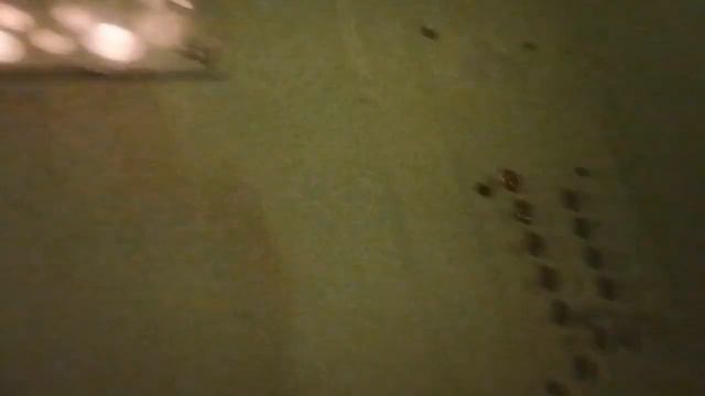 лифт МЛМ 2006 г.в///улица Молодежная 178///