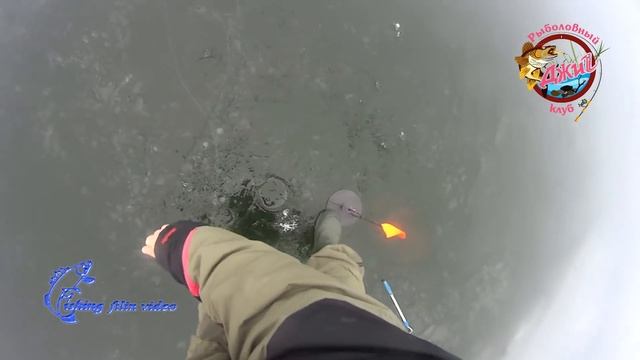 С пылу с жару свежий отчет по Макортам! смотреть онлайн