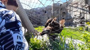 МОСКОВСКИЙ ЗООПАРК (ч.2)