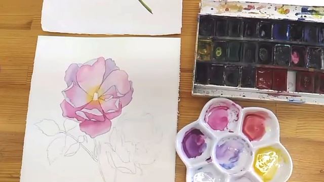 Рисуем шиповник. Ботаническая акварель. Марафон смотреть онлайн