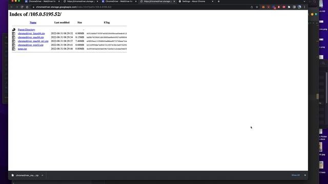 How to Install Chrome Driver for Selenium Python in October 2022 смотреть онлайн