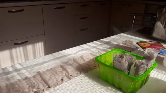 Проверенный и быстрый способ выращивания рассады в туалетной бумаге , так делаю каждый год.Семена. смотреть онлайн