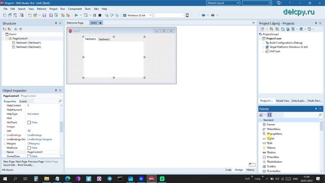 PageControl Delphi. Embarcadero.