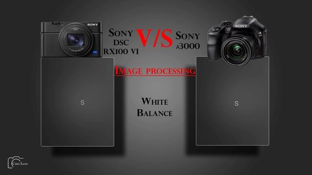 Sony DSC RX100 VI Vs Sony α3000