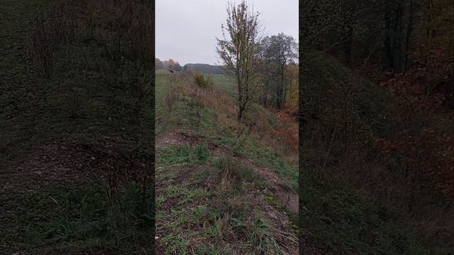 посетил два моста смотреть онлайн