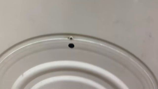 Стиральная машинка смотреть онлайн