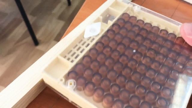 Система для вывода маток "Никот" (Nicot) смотреть онлайн