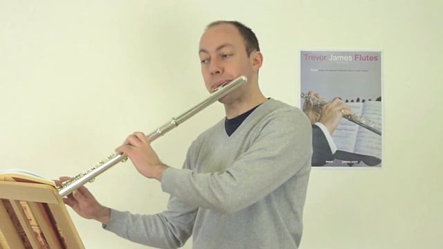 Ian Mullin plays alto and bass flutes смотреть онлайн