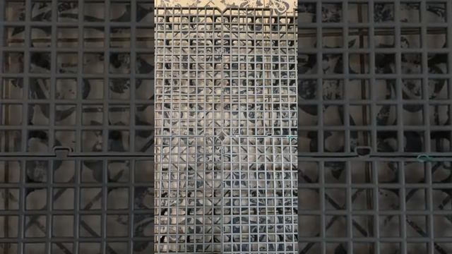 Решетчатые Полы для птиц ptipol.ru смотреть онлайн