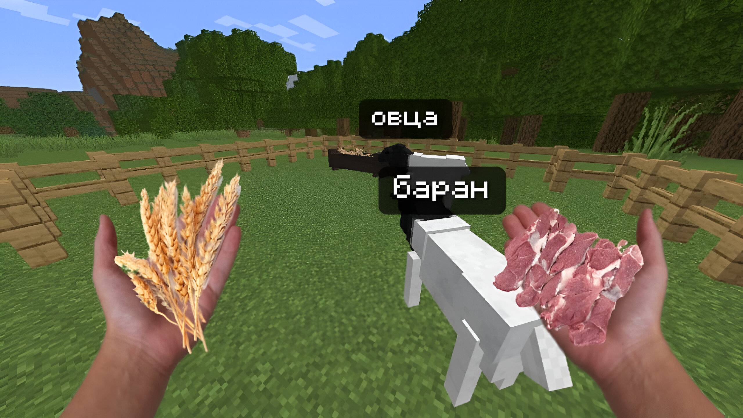 Завел овец на ферме!-Minecraft симулятор фермера смотреть онлайн