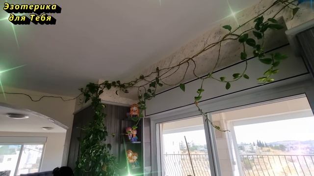 Почему дома бардак: как связан беспорядок в жизни с беспорядком в доме? О чем говорит беспорядок смотреть онлайн