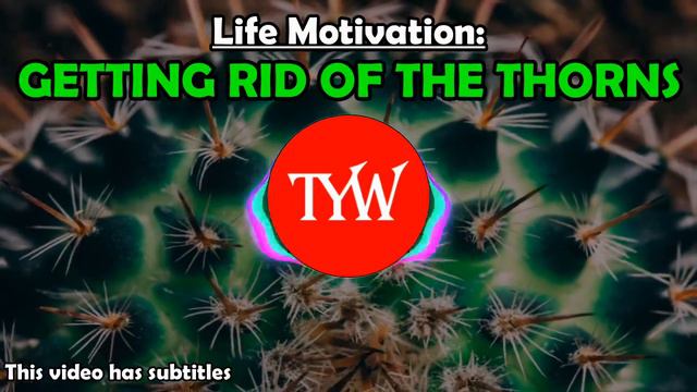 Getting Rid Of The Thorns (Life Motivation) смотреть онлайн