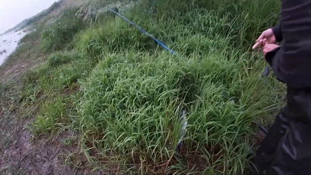 Ловля Окуня на Спиннинг | Береговой Джиг | Ультралайт