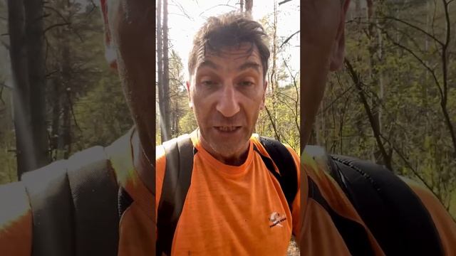 Бизнес на чернике ? смотреть онлайн