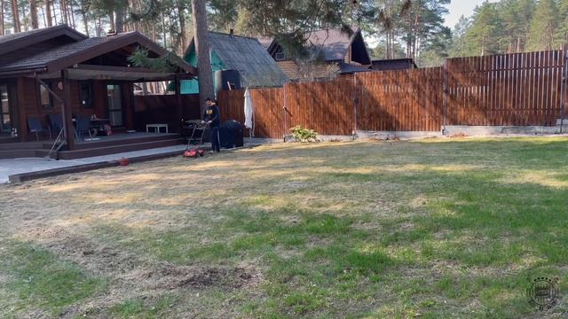 Скарификация