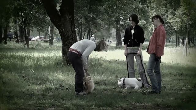 Весна 2012. Курсы кинологов-дрессировщиков смотреть онлайн