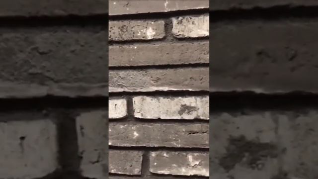 Кладка чёрного длинного кирпича смотреть онлайн