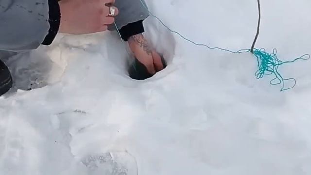 МОРОЗ -32. ПРУТИКИ В ДУГУ. ЭТИ РЫБИНЫ НЕ ЛЕЗУТ В ЛУНКУ. смотреть онлайн