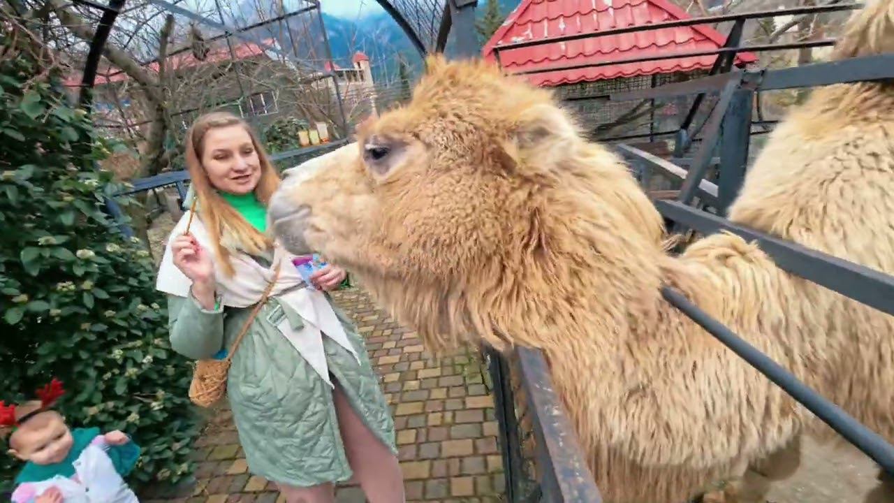 Зоопарк Ялты