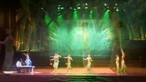 Китайский цирк (2008)