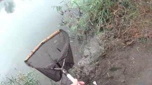 А порыбалимка. К чему не готовишься, то и клюет.