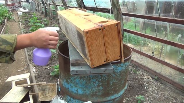 Дезинфекция гнезд у волнистых попугаев. смотреть онлайн