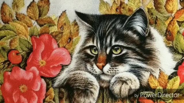 Многоцветка. Химера "Кот в шиповнике".Готовая и оформленная работа смотреть онлайн
